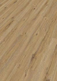 RL 400 Silence RIGID Dub campside 7403